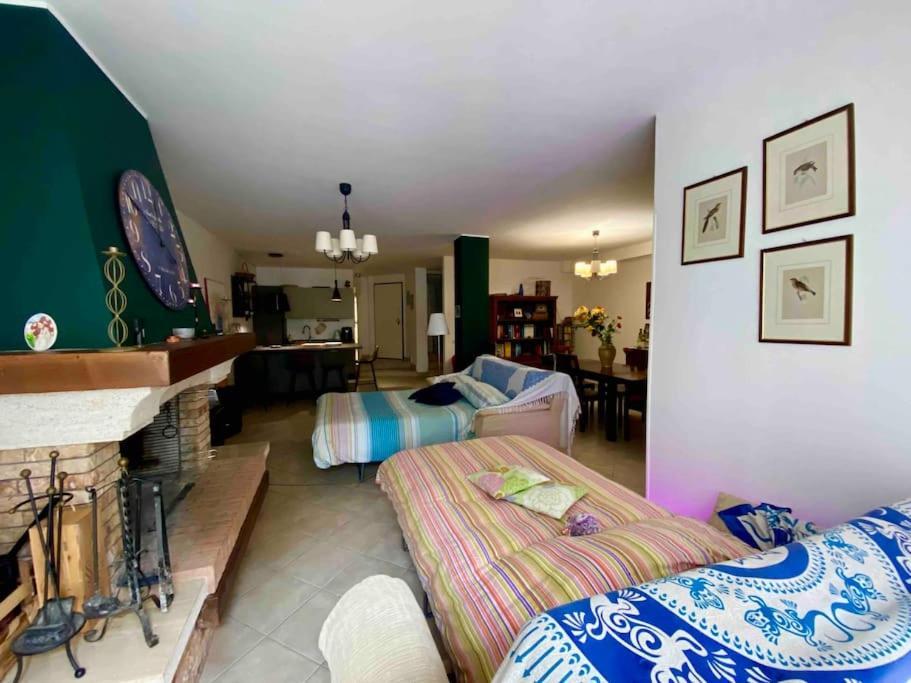The Wild Lavender Apartman Cecchina Kültér fotó